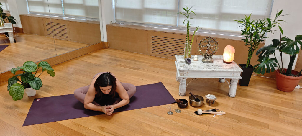 Mientras en el mundo exterior nos preparamos para la celebración, las reuniones sociales y familiares, las fiestas, las compras, las luces de navidad,etc.. la naturaleza nos susurra otra cosa: es tiempo de quietud.